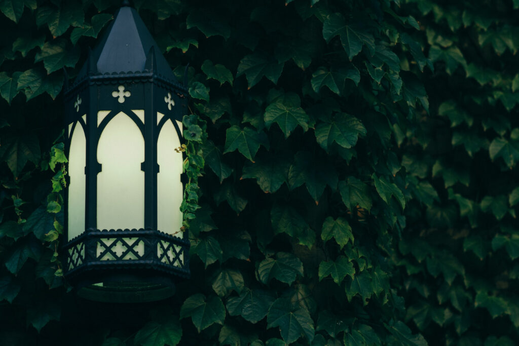Review: Evernight by Claudia Gray