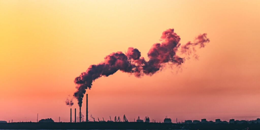 The Carbon Diaries by Saci Lloyd
