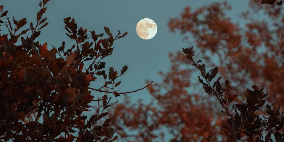 Beneath a Meth Moon by Jacqueline Woodson