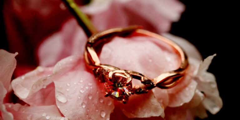 The Faerie Ring by Kiki Hamilton